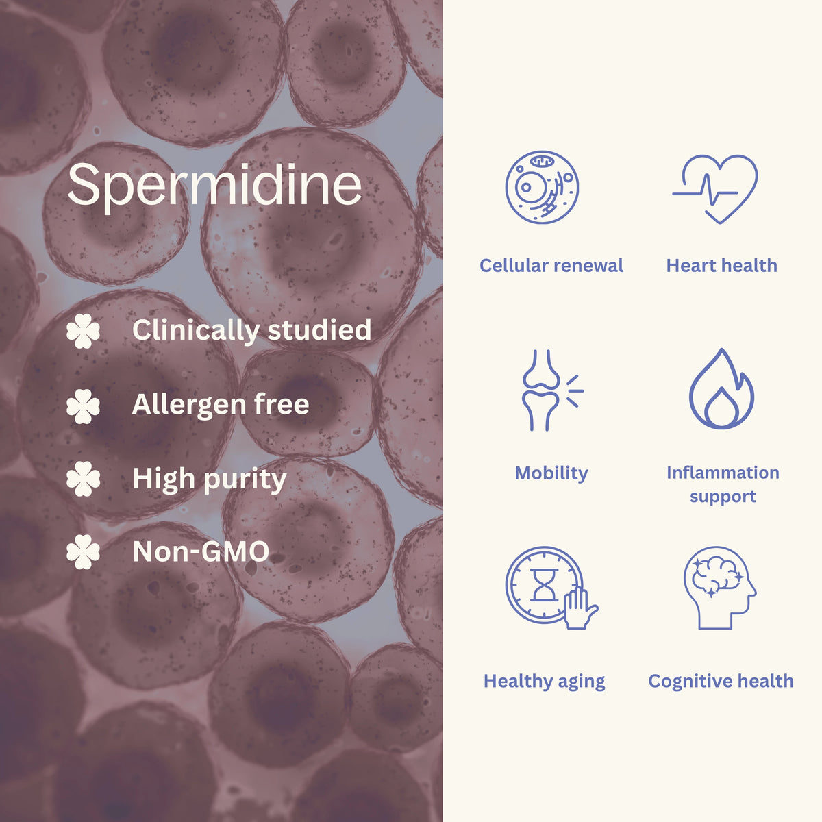 Spermidine