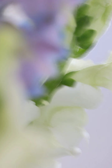 Losing Myself: Understanding Mood Changes in Perimenopause