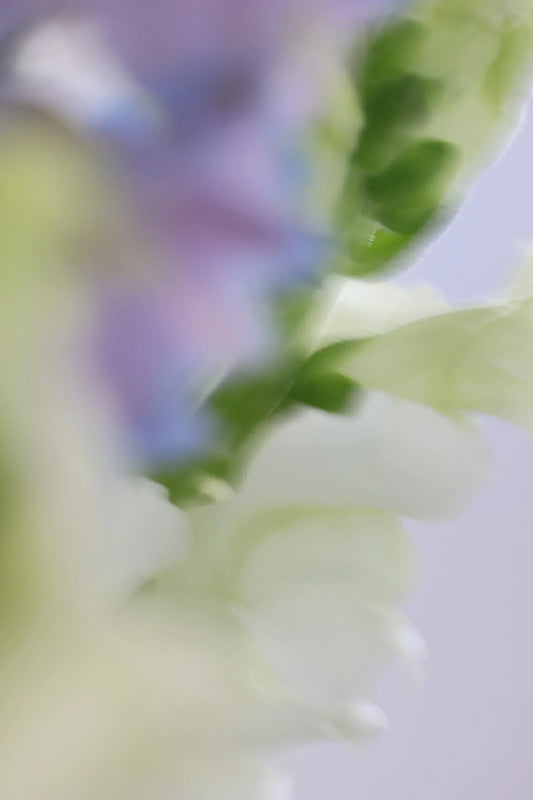 Losing Myself: Understanding Mood Changes in Perimenopause