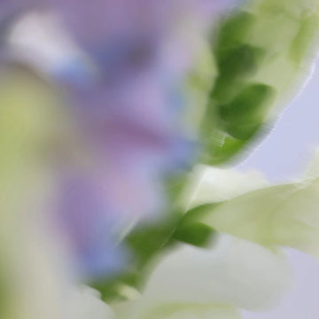 Losing Myself: Understanding Mood Changes in Perimenopause