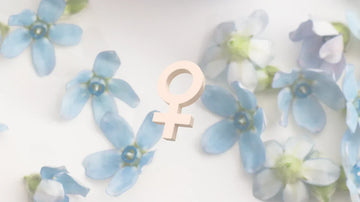 The Hormone Story of Menopause