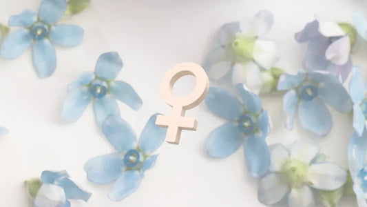 The Hormone Story of Menopause