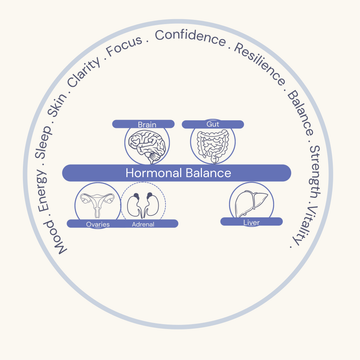Diagram of hormonal balance with brain, gut, ovaries, adrenal, and liver icons.