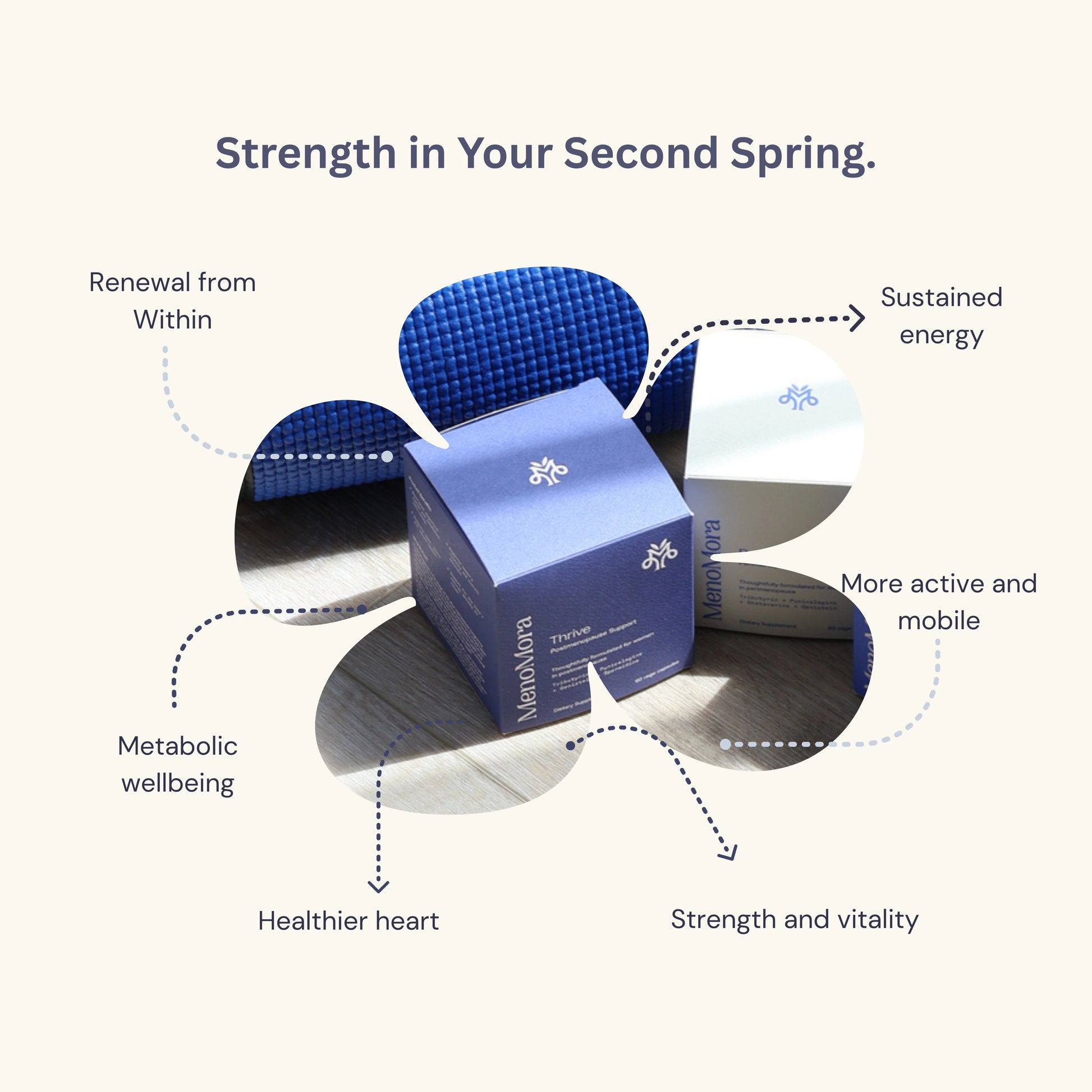 Blue box with brand logo on a white background, surrounded by text about product benefits.
