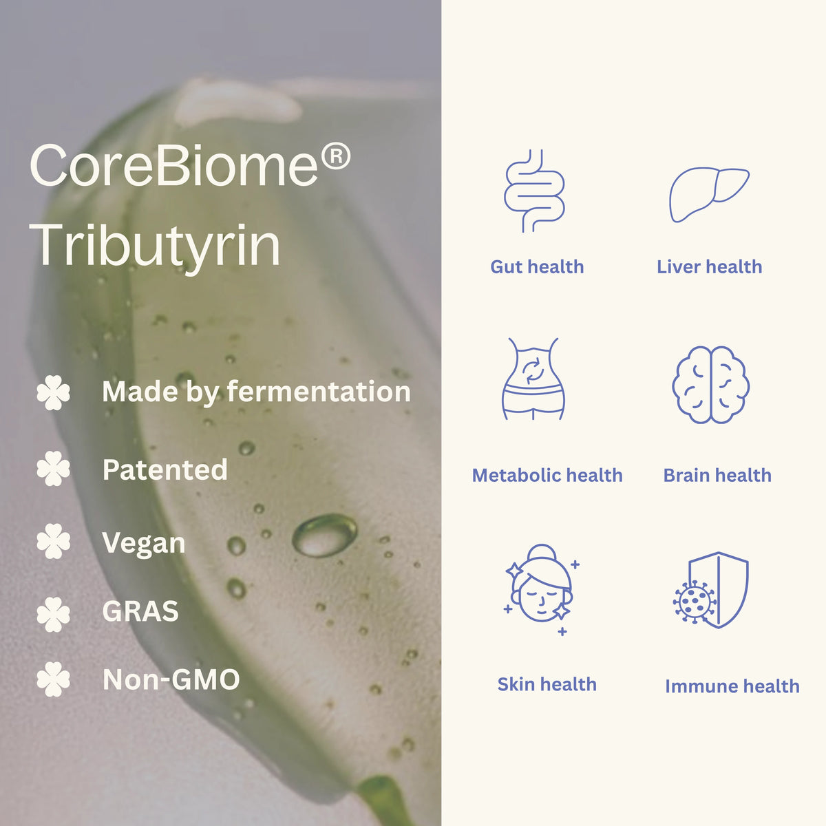 CoreBiome ® Tributyrin