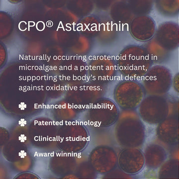 CPO Astaxanthin text with microalgal cells in the background