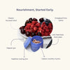 Illustration of a bowl of berries and menomora prepare with health benefits listed.